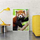 5D DIY Full Round Drill Diamond Painting Climbing Koala Cross Stitch Decor