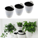 3Pcs Self Watering Hanging Planter, Indoor Herb Flower Pot, Hanging Garden Grows