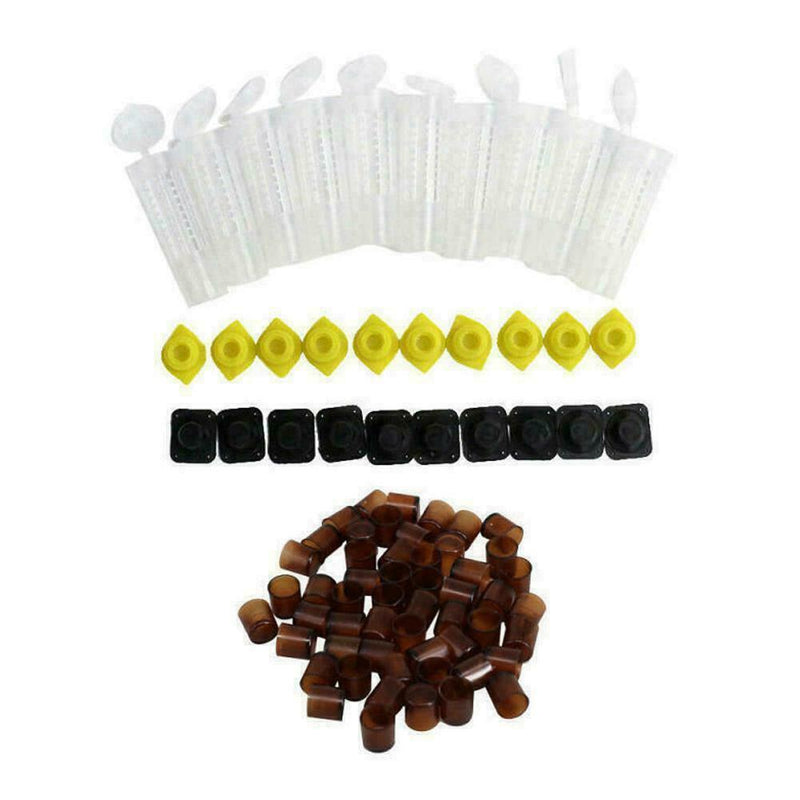 Bee Queen Rearing Cupkit Complete Box System Beekeeping Kit/Set 100Cell Cup E3T8