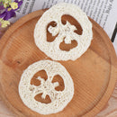2Pcs Natural Loofah Soap Holder Dish Bathroom Storage Support Plate OZ