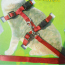 1x Katzen Leine Halsband Katzenleine Klein Haustier Katzengeschirr Ne Hunde