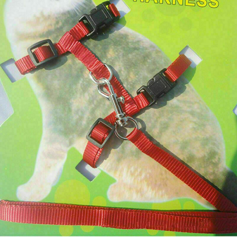 1x Katzen Leine Halsband Katzenleine Klein Haustier Katzengeschirr Ne Hunde