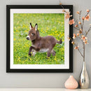 5D DIY Diamond Painting Donkey Full Round Drill Embroidery Home Decor Craft A