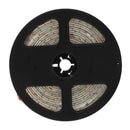 Waterproof 5M LED 300*3528 SMD DC12V Warm White 20W IP65 Light Strip