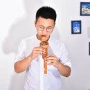 profeesional chinese hulusi gourd cucurbit flute c key ethnic instrument M& BX