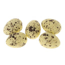 Pack of 5pcs Artificial Speckled Bird Eggs for Crafting,Favors,Embellishing