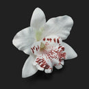 Lady Women Girl White Elegant Orchid Flower Leopard Hair Clip Wedding  AGT