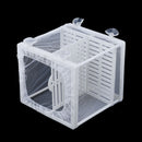 Aquarium Fish Tank Guppy Breeding Breeder Baby/Fry Net Trap Box Hatcher 3c