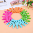 24Pcs Laundry Clothes Pins Hanging Pegs Clips Plastic Hanger Racks ClothespOZ