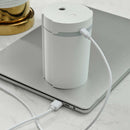 280ml Air Humidifier USB Alcohol Sprayer Liquid Sanitizer Dispenser Sterilizer