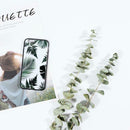 10Pcs/Bouquet Dried Natural Eucalyptus Branches Leaves Flower Decors New