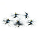 5pcs 10