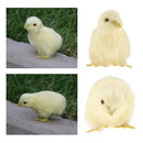 4 Pack Mini Cute Simulation Yellow Chicken Toys, Sound Plush Chicken Animal