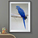 5D DIY Full Drill Diamond Painting Bird Embroidery Mosaic Craft Kits Decor