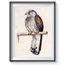 5D DIY Full Drill Diamond Painting Bird Embroidery Mosaic Craft Kit Decor