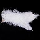 20 x natural ostrich feather 25-30cm white decoration festivities Y3Q7