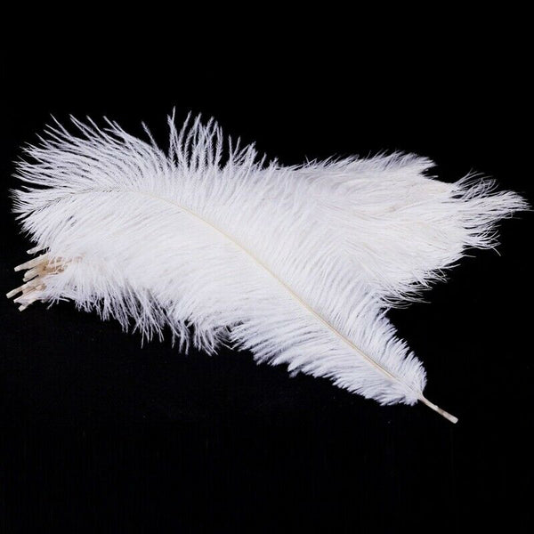 20 x natural ostrich feather 25-30cm white decoration festivities Y3Q7