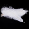20 x natural ostrich feather 25-30cm white decoration festivities Y3Q7