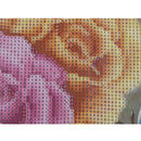 1set diamond Painting DIY Decor colorful Rose&Butterfly Diamond~Embroidery LJ