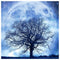 5D DIY Diamond Painting Full Drill Rhinestone Tree Moon Embroidery (K972)