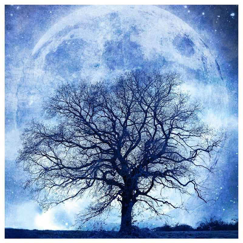5D DIY Diamond Painting Full Drill Rhinestone Tree Moon Embroidery (K972)
