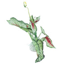 Artificial Plastic Fabric Aquascaping Plant Grass for Fish Tank Aquarium T8M7