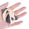 Anti stress ball Pug Dog Mini Squeeze   Toys Slow Rising kids adults todfZ