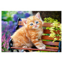 5D DIY Full Drill Diamond Painting Sitting Cat Cross Stitch Embroidery Kits