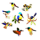 8pcs Assorted Iron On Birds Embroidered Motif Appliques Decor Patches DIY