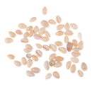 Sea Shell Perles naturel en vrac Accessoires pour Fish Tank Decor Craft J 3C