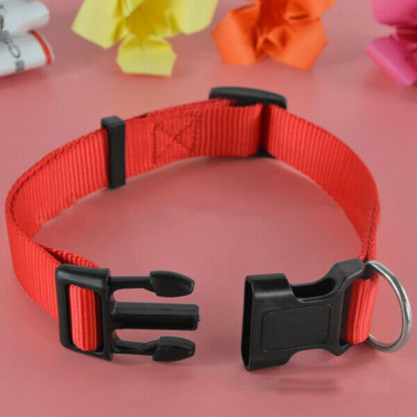 Adjustable Nylon Dog Puppy Collar with Buckle and Clip for Lead (M, Red)