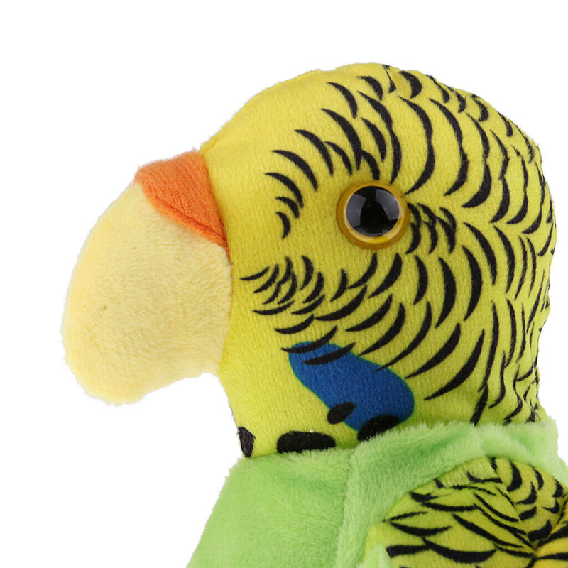 Lovely Speak Talking Record Parrot Repeats What You Say Electronic Parrot Plush