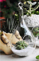 Taper Hanging Glass Flowers Planter Vase Terrarium Container Home DIY Decor