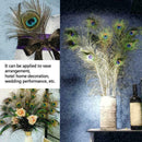 10pcs Real Natural Peacock Tail Eyes Feathers Wedding Festival Party Decora I6H9