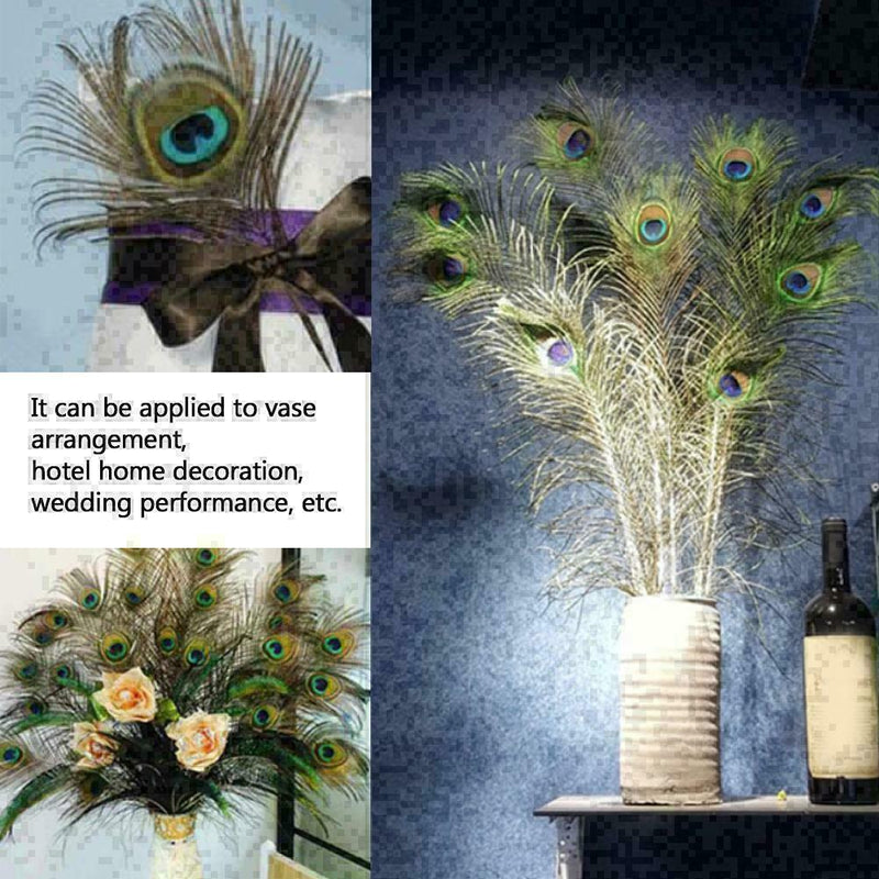 10pcs Real Natural Peacock Tail Eyes Feathers Wedding Festival Party Decora I6H9