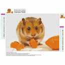 Full Square Diamond 5D DIY Diamond Painting "Hamster" Embroidery Cross Stit