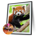 5D DIY Full Round Drill Diamond Painting Climbing Koala Cross Stitch Decor