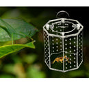 Insect Housing Nest Cage Cricket Grasshopper Feed Acrylic Box Clear