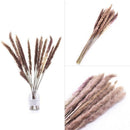15Pcs Natural Dried Pampas Grass Reed Flower Bunch Wedding Bouquet Home Decors
