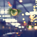 10/20pcs Christmas Artificial Pine Needle Plant Ornament Decor Party Xmas D H4K8