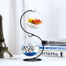 Metal Stand Glass Flower Vase Terrarium Container Fish Tank Candle Holder