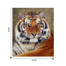Tiger  5D Diamond DIY Painting  Kit Home Decor Craft(30 X 40cm)