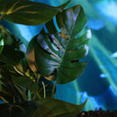 New Artificial Aquarium Plant Water Grass Real Look FishTank Ornament Decor