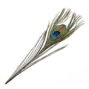 100 Pcs Peacock Feathers 10"-12"