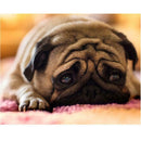 5D DIY Full Drill Square Diamond Painting Sad Dog Cross Stitch Embroidery