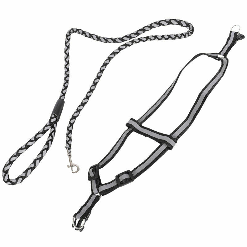 Night safety Strong Reflective Dog Leash Collar Pet Leads Belt Adjustable T