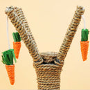 Cat Climbing Frame Funny Kitten Teeth Care Tower Shelves Scratching Post Carrot