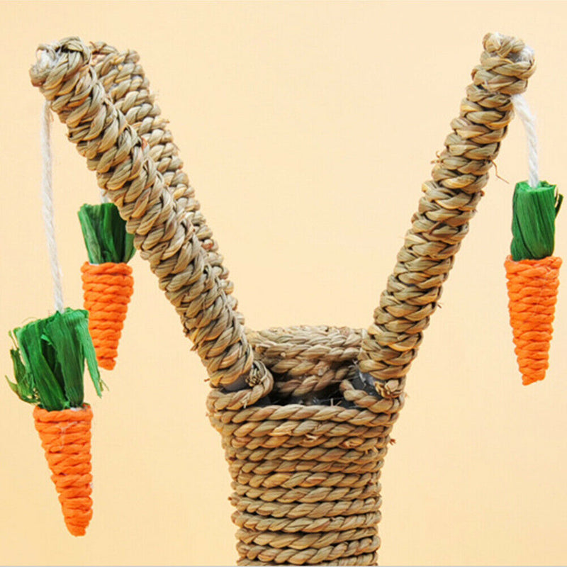 Cat Climbing Frame Funny Kitten Teeth Care Tower Shelves Scratching Post Carrot