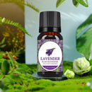 10ml 6 Bottles Essential Oil Box 100% Pure Nature Bottles for Aroma Diffuser
