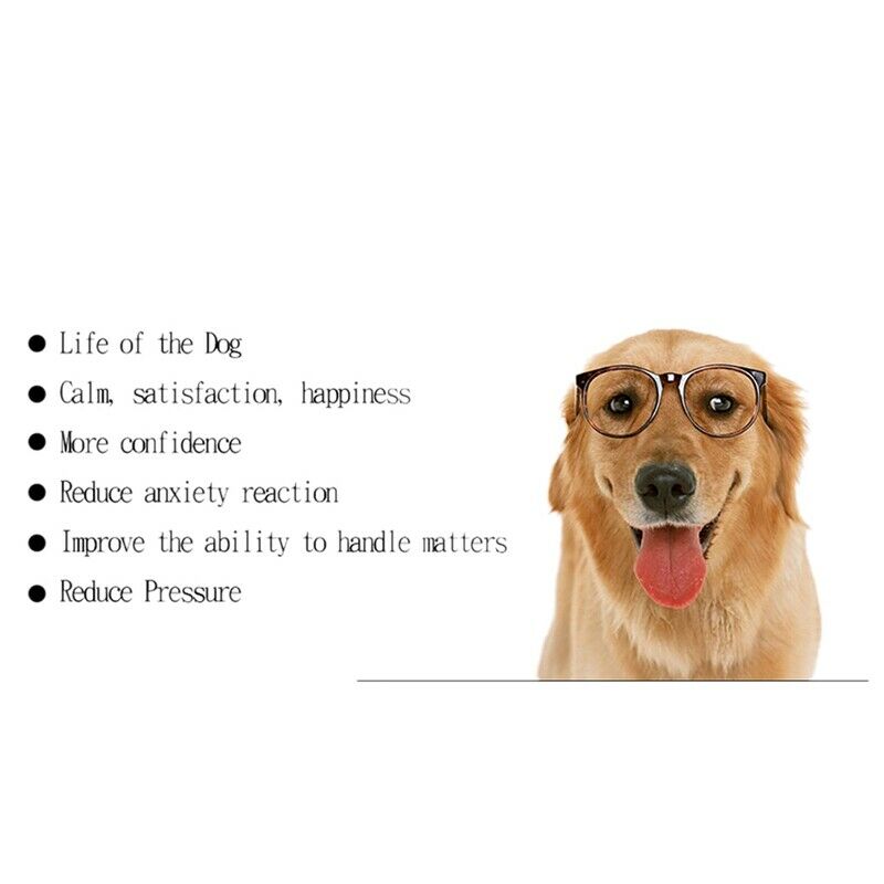 Dog Pet Snuffle Mat Dog Smell Training Mat Stress Release Blanket for Encou